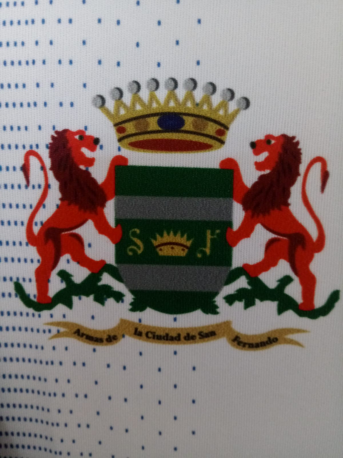 CAMISA COLCHAGUA CD 2019 CHILE