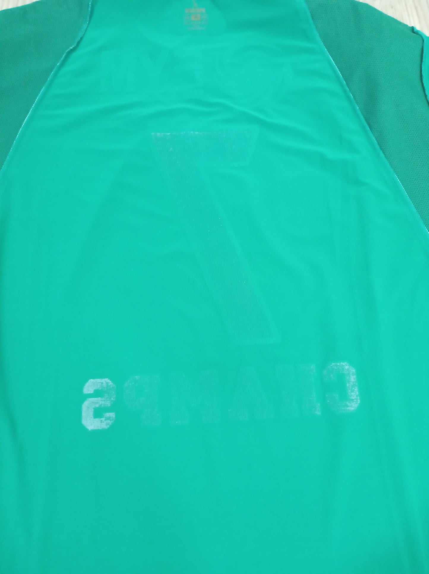 Camisa Do Guarani - 2008 - Usada Em Jogo