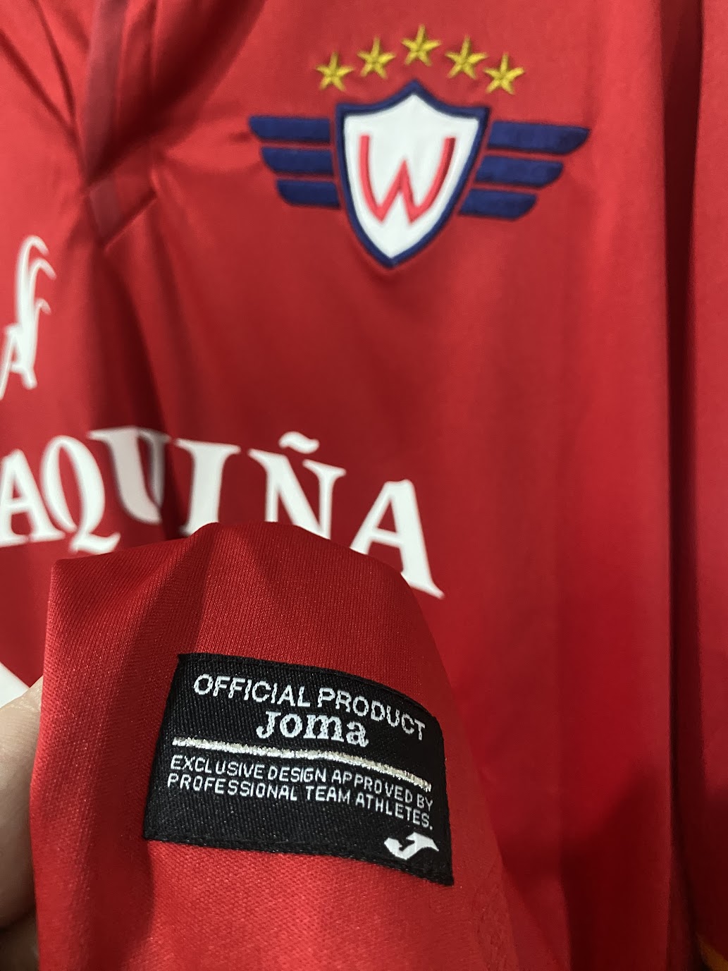 Jorge Wilstermann Home Shirt 2018 (Size XL - 58x79 cm)