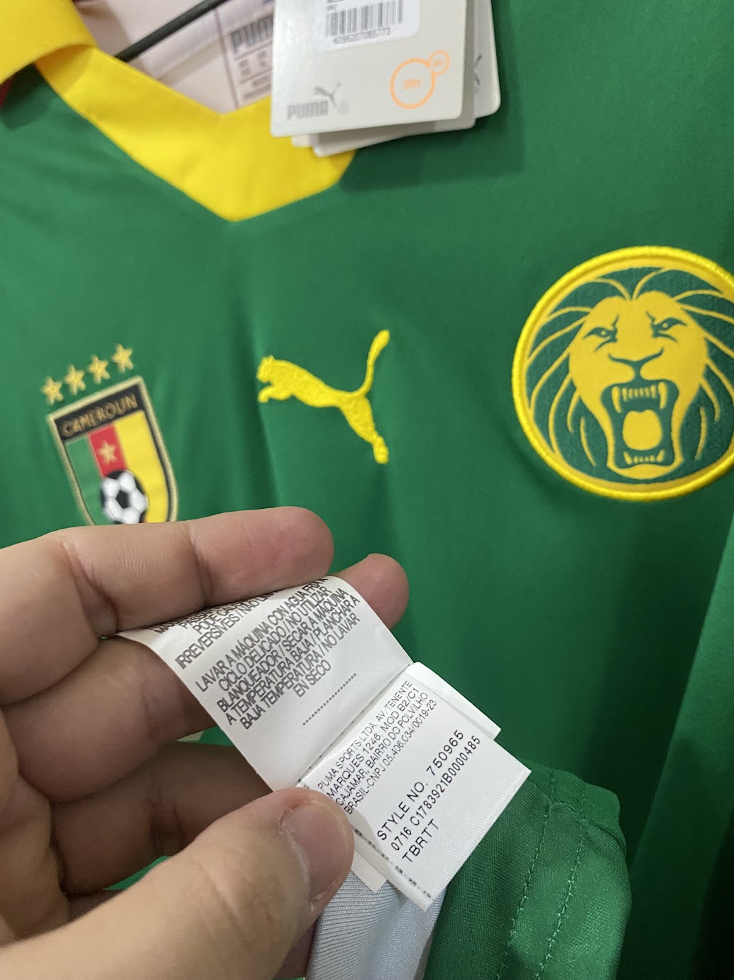 Cameroon Home Shirt 2016 - Size XL (58x78 cm)