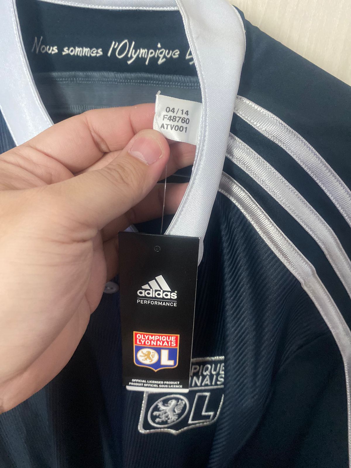 Olympique Lyon 2014