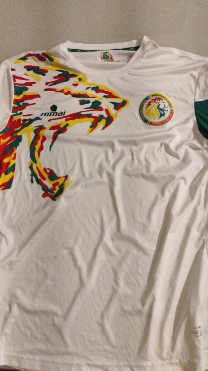 Camisa Senegal Home 2017 - Romai