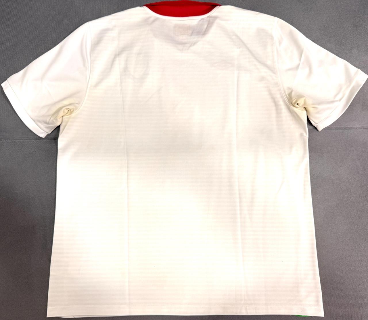 CAMISA DA SELEÇÃO DE PAÍS DE GALES 2010/11 AWAY - ORIGINAL