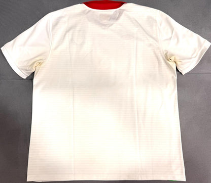 CAMISA DA SELEÇÃO DE PAÍS DE GALES 2010/11 AWAY - ORIGINAL