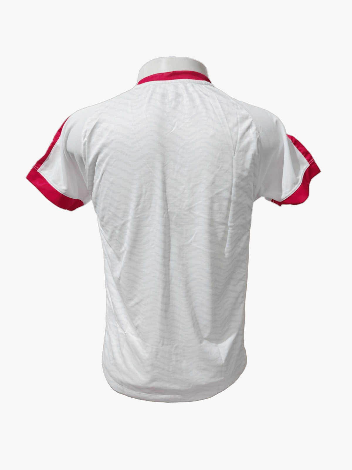 Camisa Hercilio Luz visita 2023