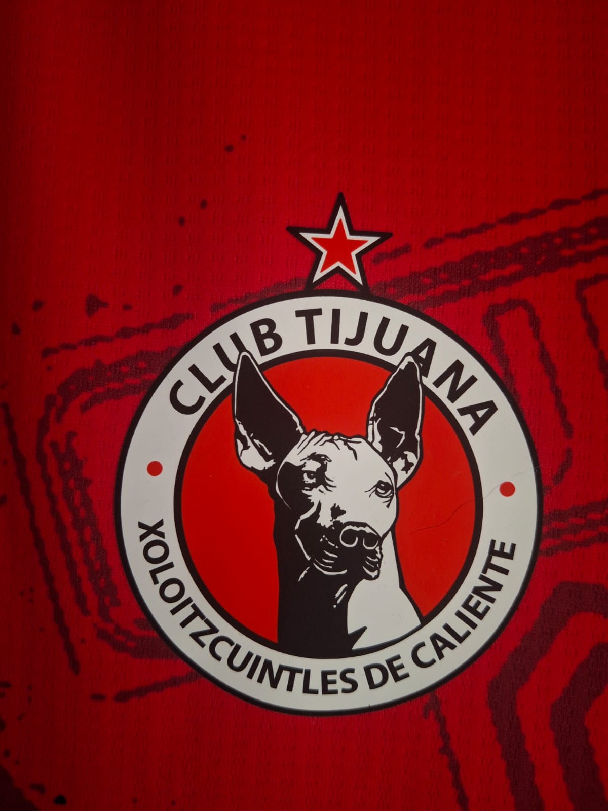 Camisa Club Tijuana Local 24/25 - Charly