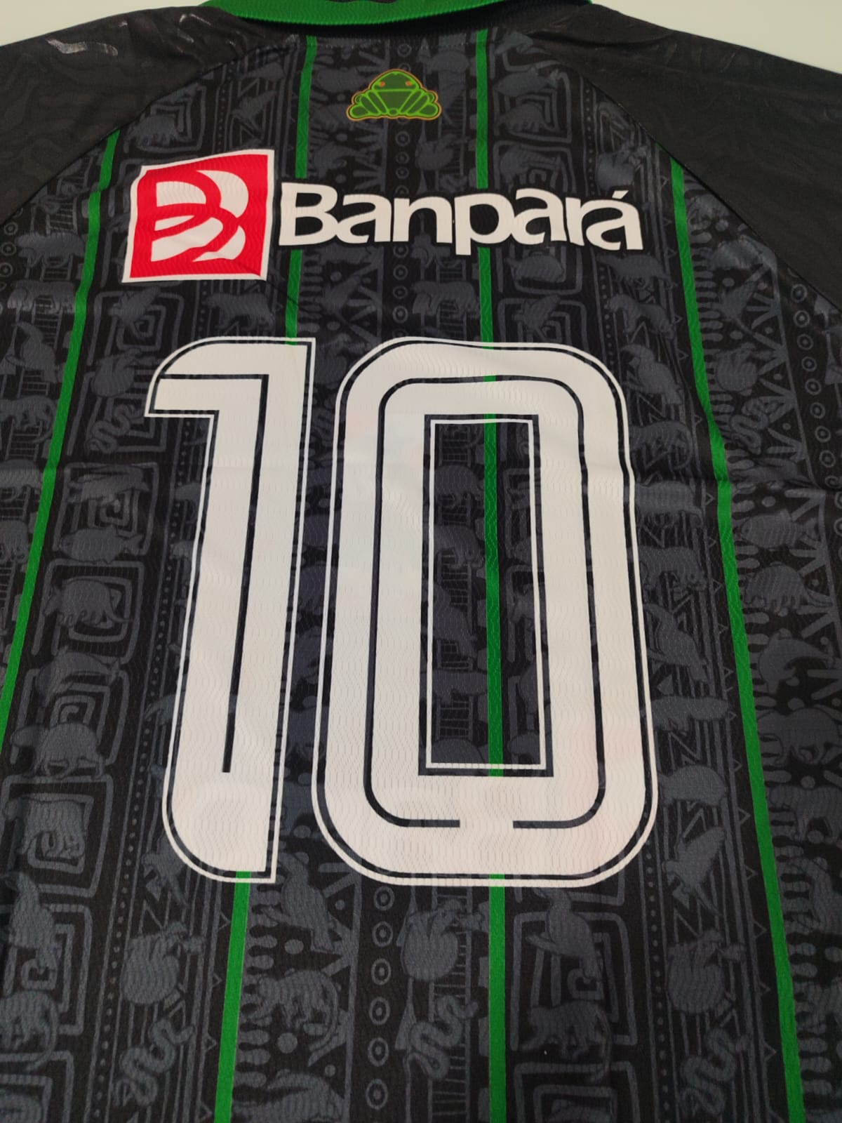 CAMISA AMAZÔNIA INDEPENDENTE 2025 - ESPECIAL COP 30