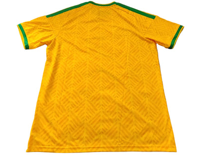 Camisa Africa do Sul 2026 Copa do Mundo