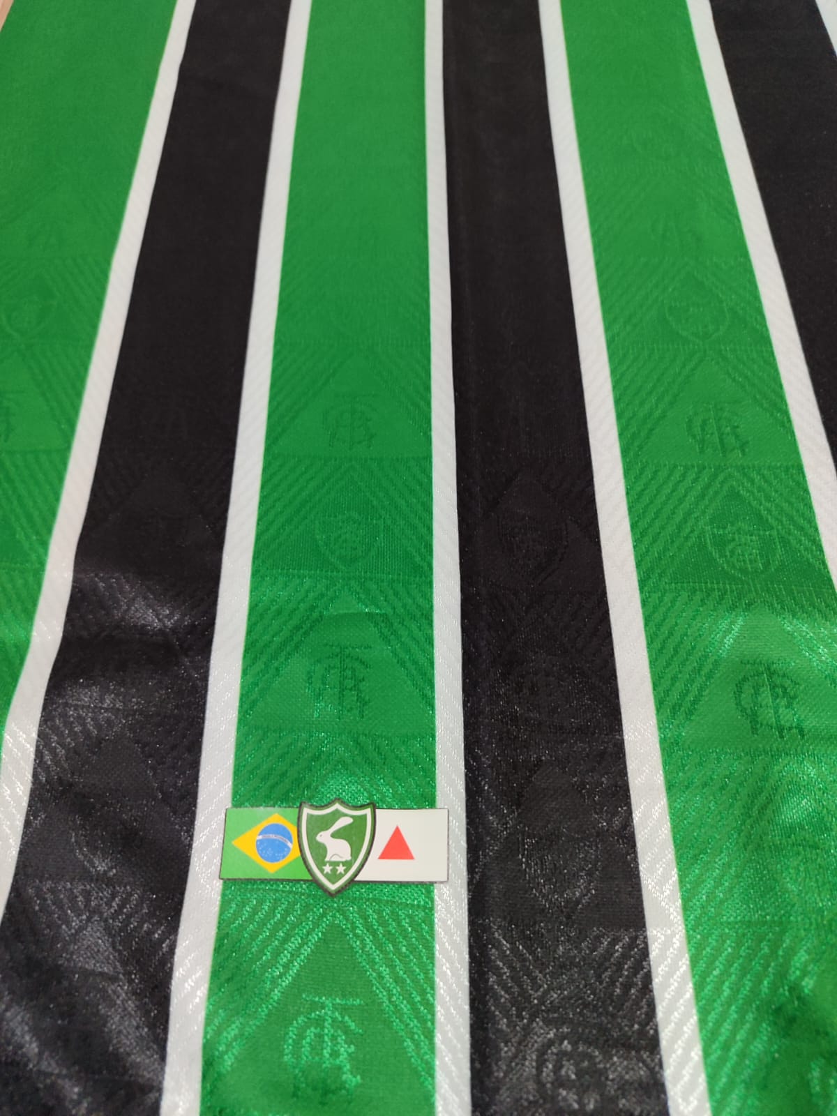 Men's Game 3 2023 América Mineiro Black and Green Volt 3 Shirt