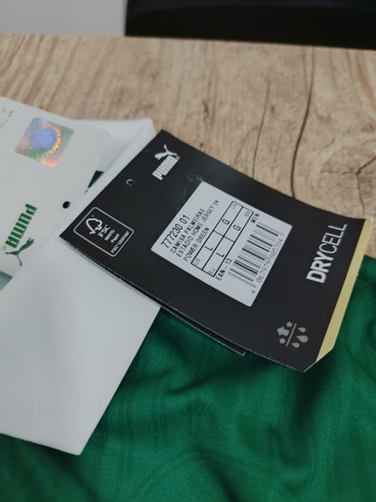 Palmeiras Puma Home 24/25 Stadium Shirt