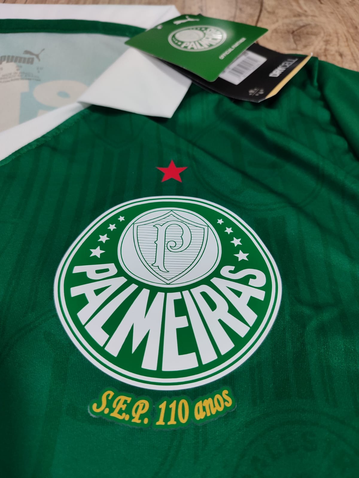 Palmeiras Puma Home 24/25 Stadium Shirt