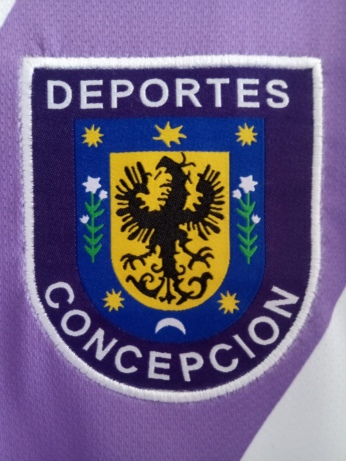 Camisa Deportes Concepcion 2021 Away