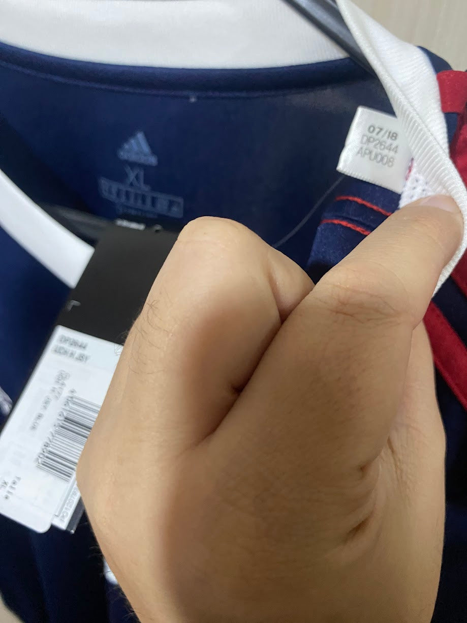 Universidad de Chile 2019