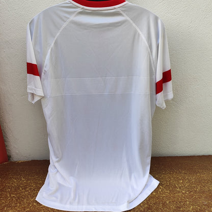 Denmark Hummel Shirt ***** ORDER ****