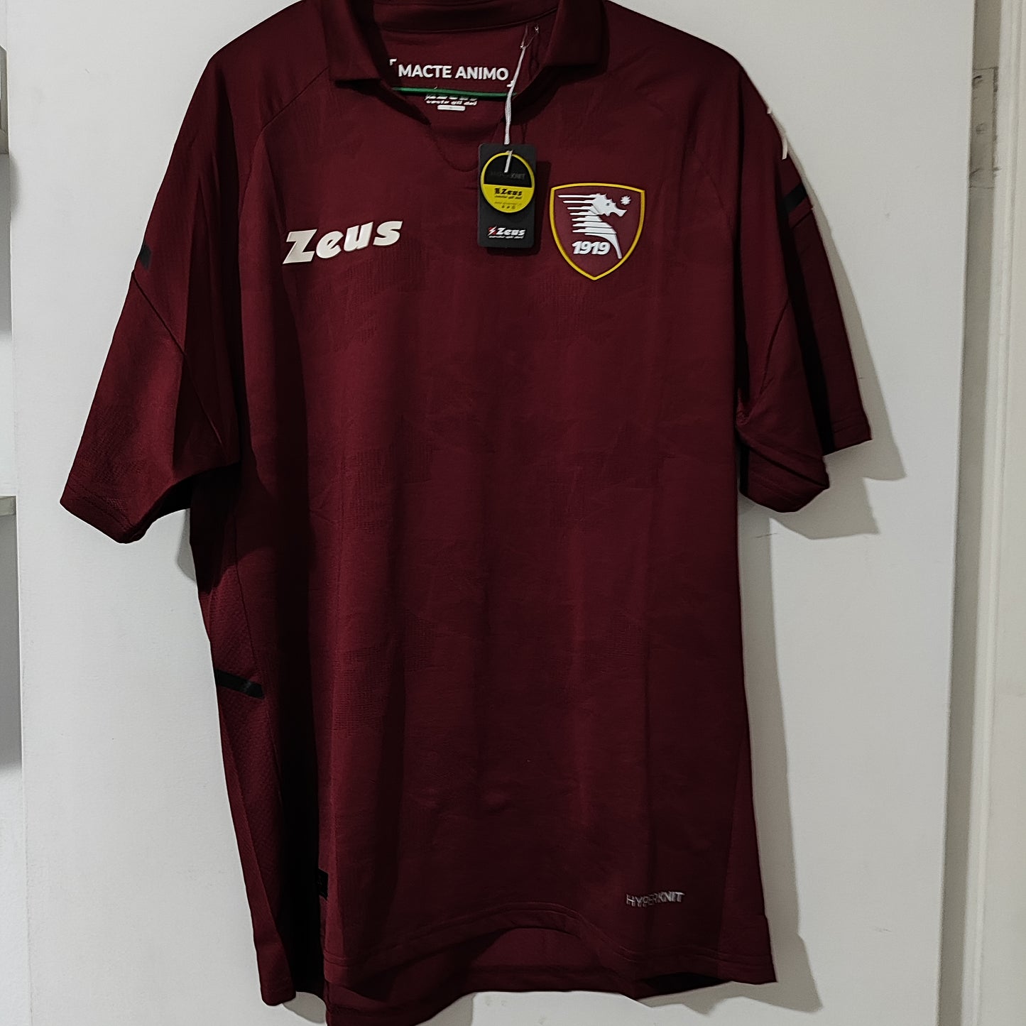 Salernitana player shirt 2021-22