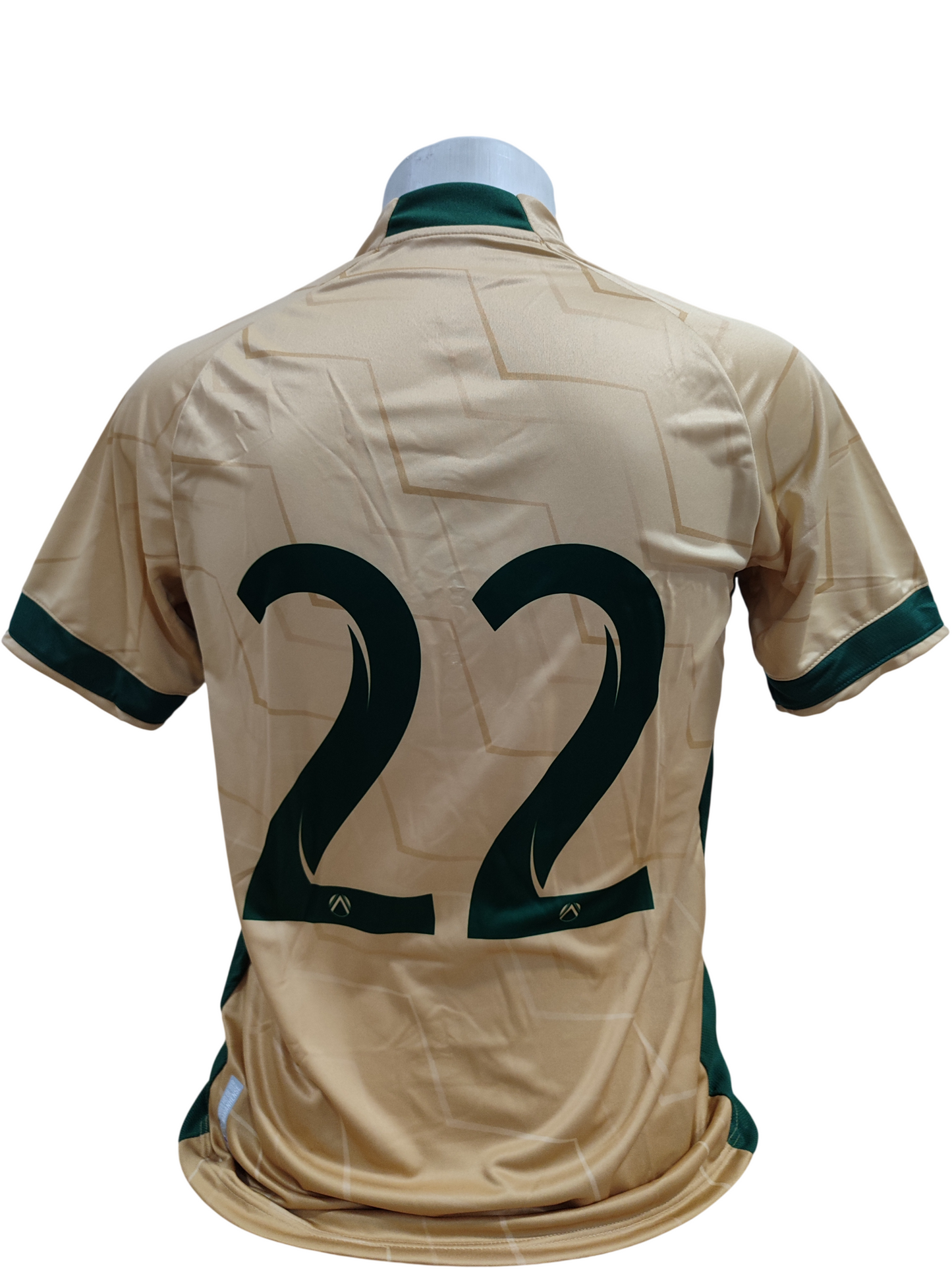 Camisa Sampaio Corrêa Centenário 2023 2024 Jogador #22 Rara
