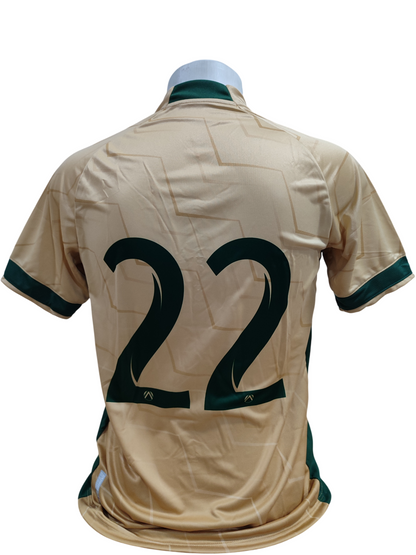 Camisa Sampaio Corrêa Centenário 2023 2024 Jogador #22 Rara