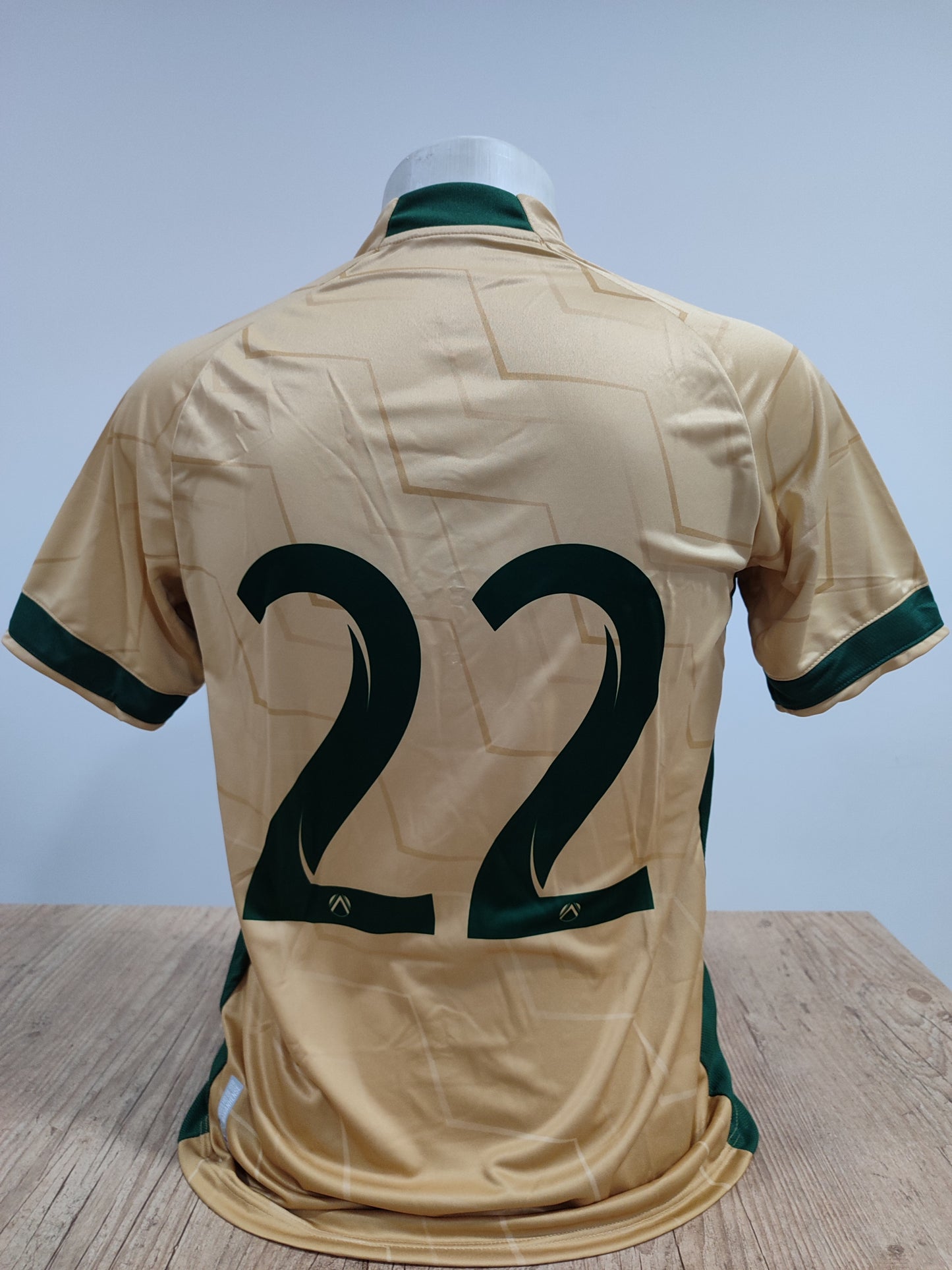 Camisa Sampaio Corrêa Centenário 2023 2024 Jogador #22 Rara