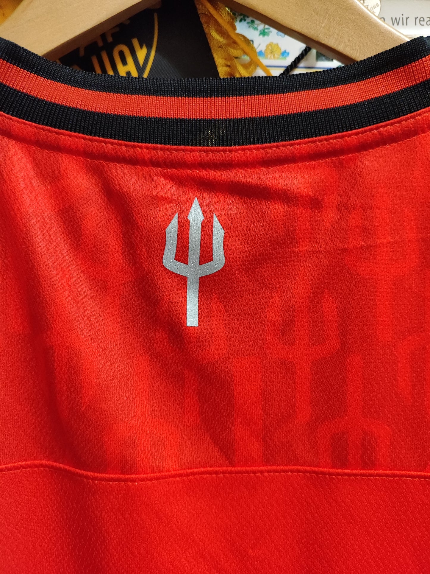 America de Cali 2023 Home Shirt - Size L (54x74 cm)