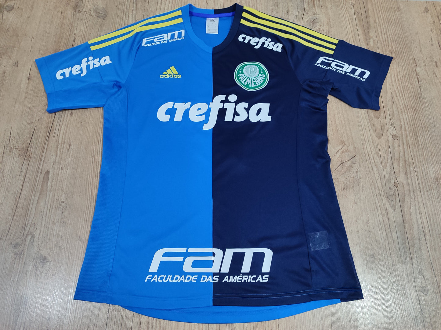Rare - Palmeiras - Blue Shirt 2016 Tribute to Prass
