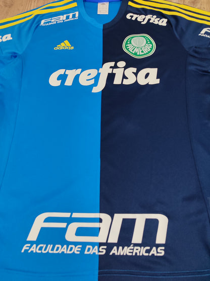 Rare - Palmeiras - Blue Shirt 2016 Tribute to Prass