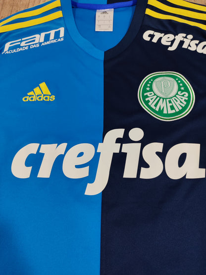 Rare - Palmeiras - Blue Shirt 2016 Tribute to Prass