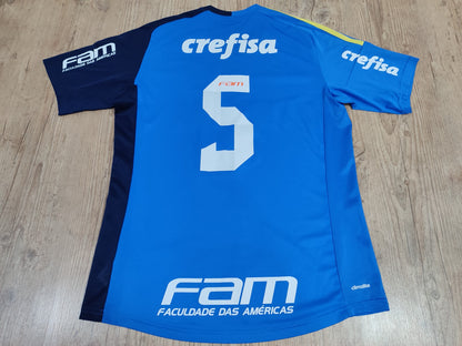 Rare - Palmeiras - Blue Shirt 2016 Tribute to Prass
