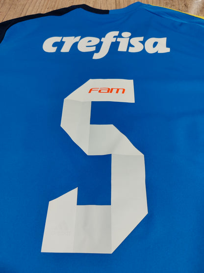 Rare - Palmeiras - Blue Shirt 2016 Tribute to Prass