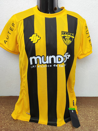 Fernandez Vial 2023 Chile