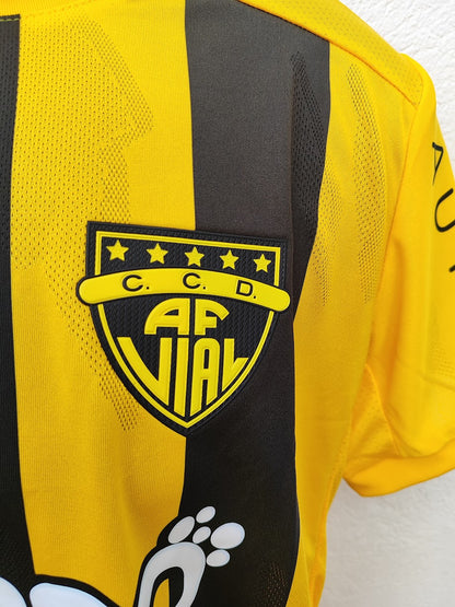 Fernandez Vial 2023 Chile