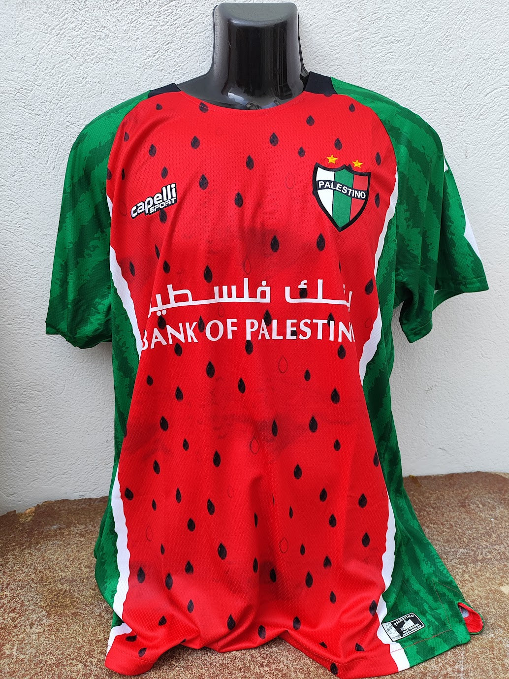 Camisa Palestino Third 2025