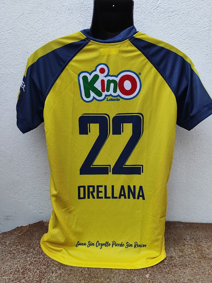 Universidad de Concepción 2019