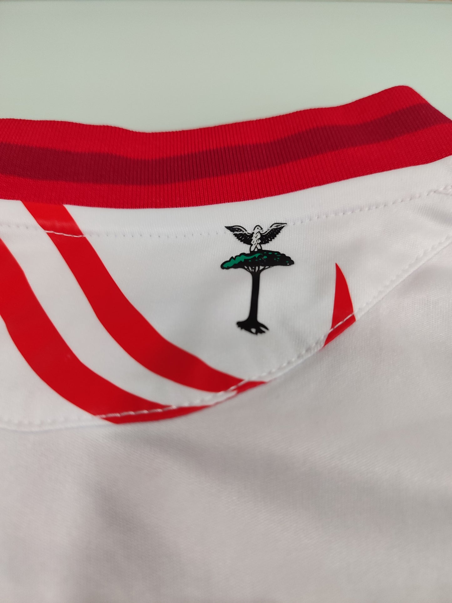 Raridade de Coleção - Camisa do Carpi - Itália - Usada em Jogo!