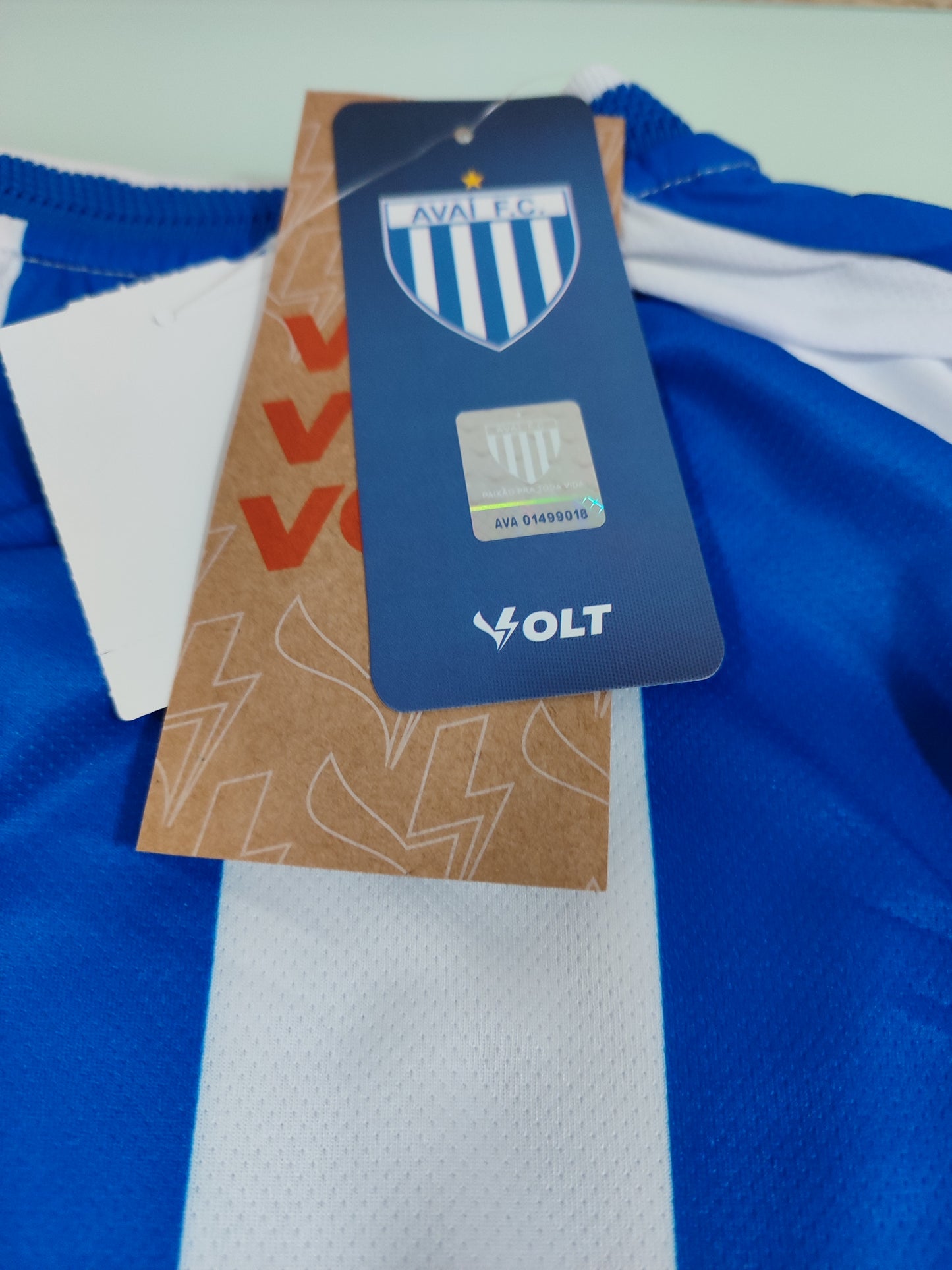 Linda Camisa do Avaí - Manga Longa - Jogador