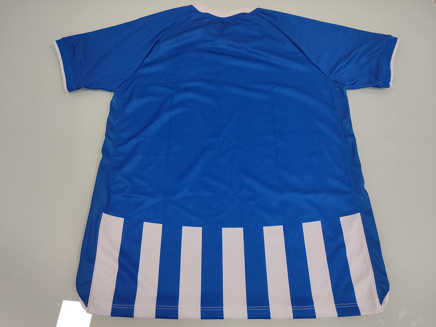 Linda Camisa - CSA –  Home – 2024/2025