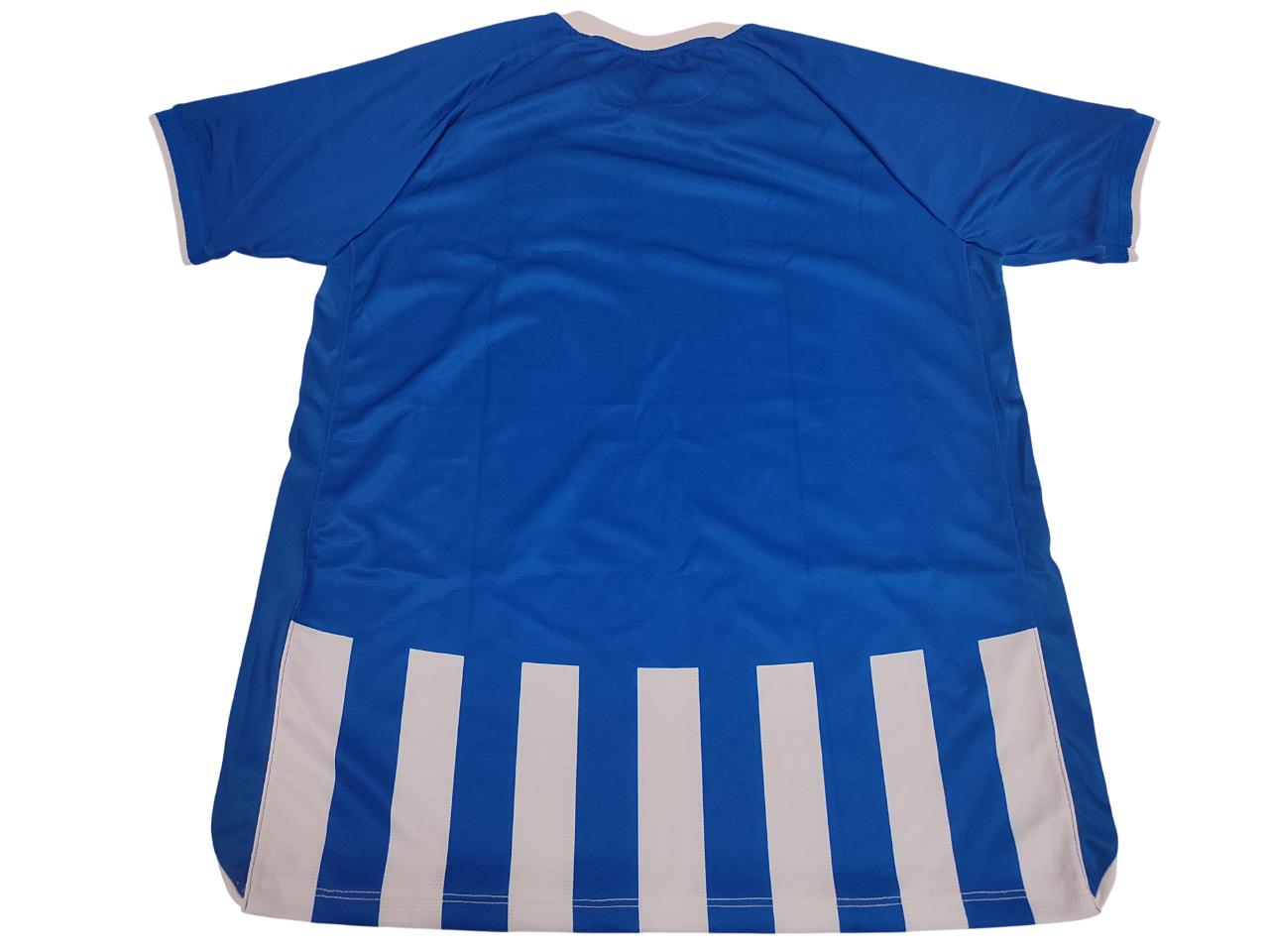 Linda Camisa - CSA –  Home – 2024/2025
