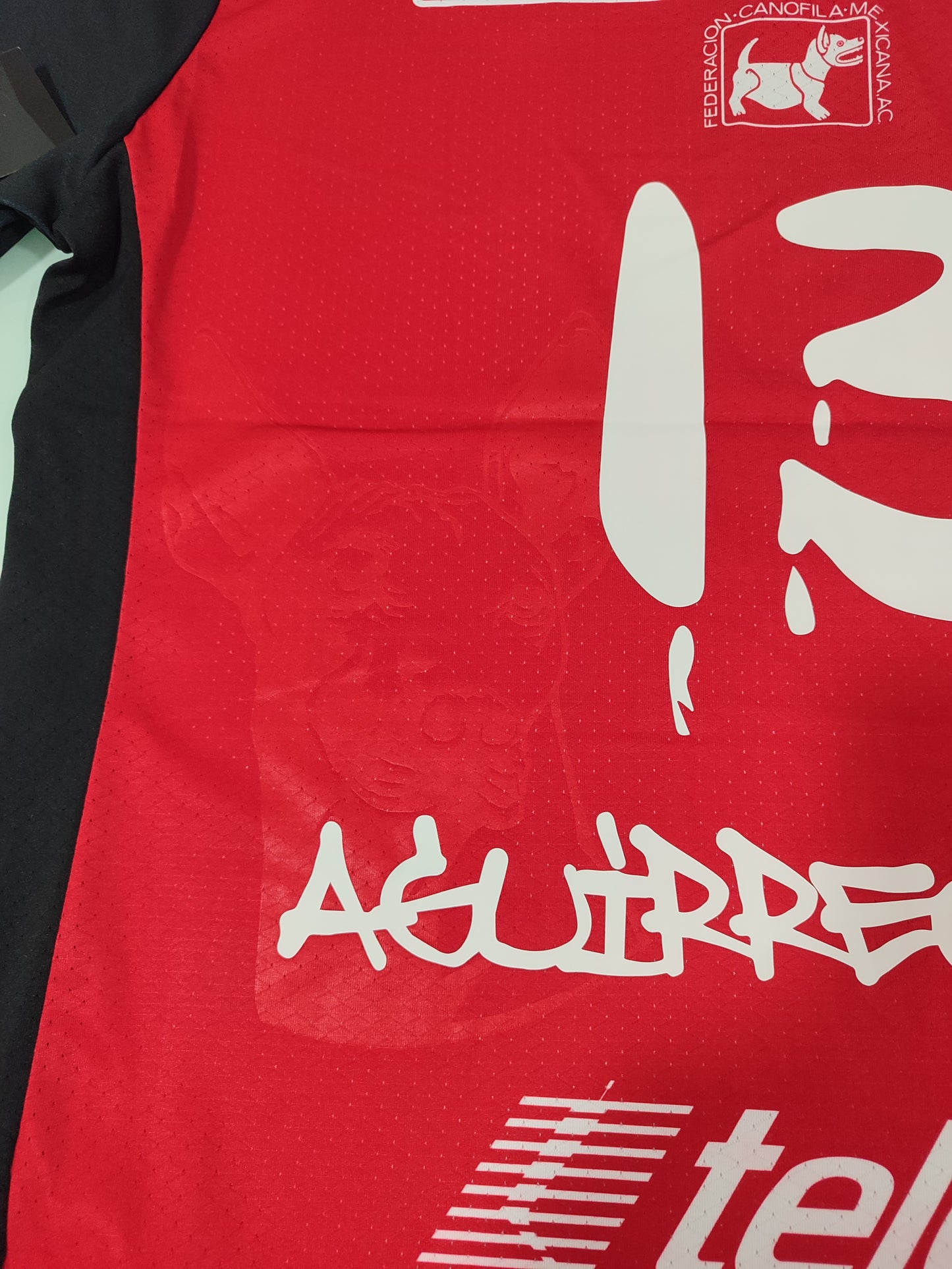Espetacular - Camisa Xolos Tijuana - México #13 - Player - de Coleção!