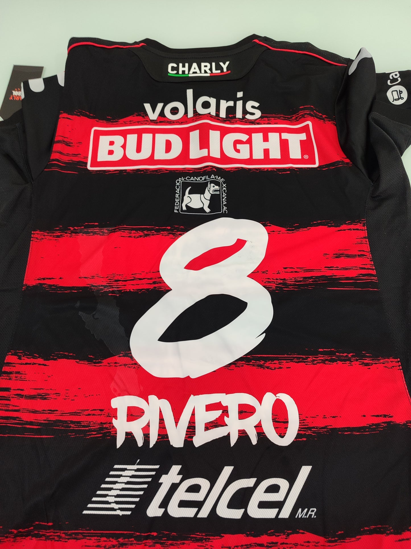 Xolos de Tijuana - México - 2018/2019 · Modelo Player · #8 Ignacio Rivero