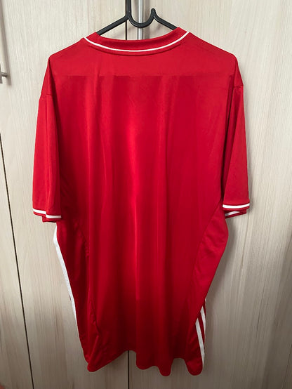 OLYMPIAKOS HOME 2017