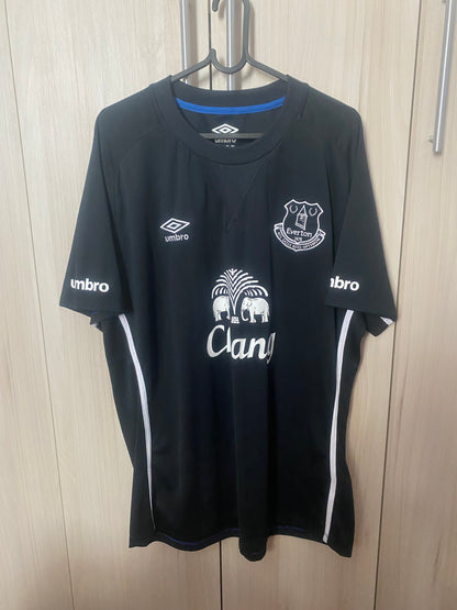 Everton England 2016
