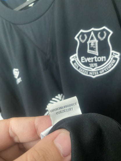 Everton England 2016
