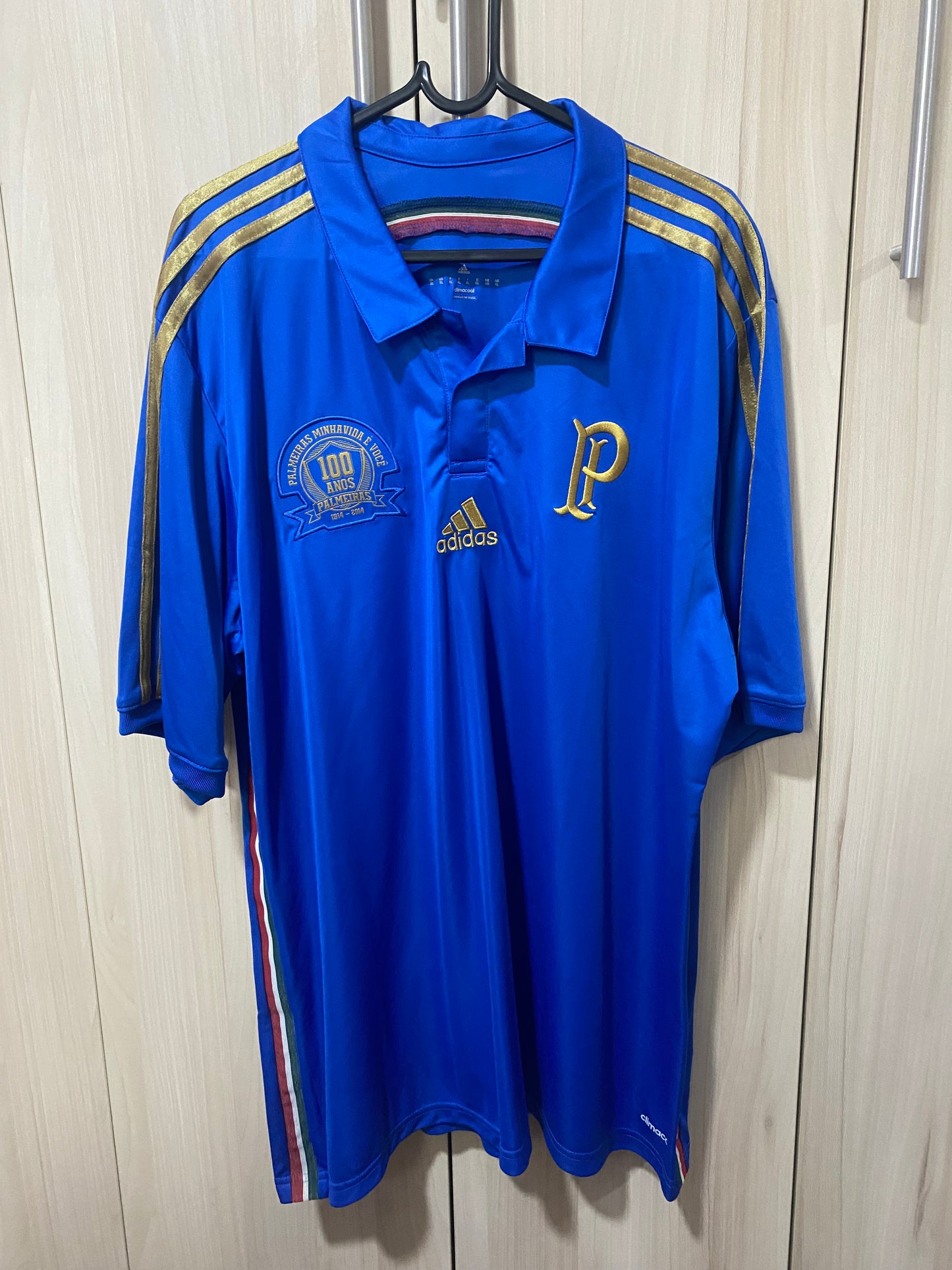 Palmeiras Third Centenary 2014 GG 58x78