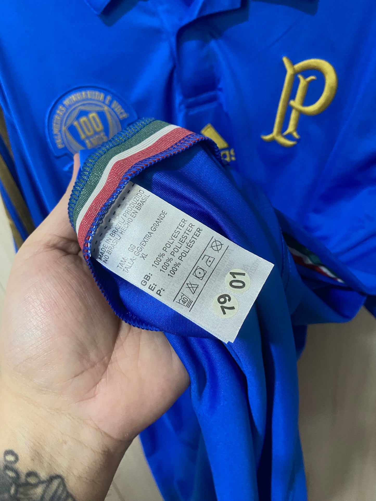 Palmeiras Third Centenary 2014 GG 58x78