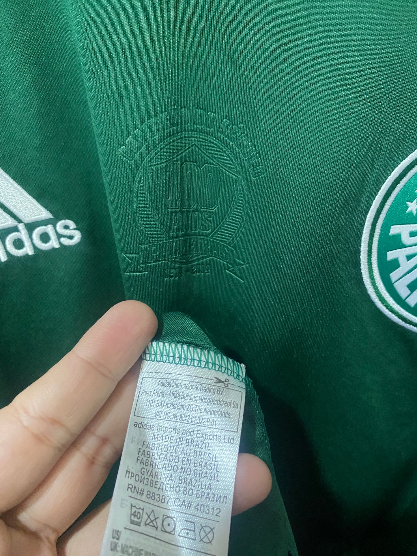 Palmeiras Home Centennial 2014 GG 58x78