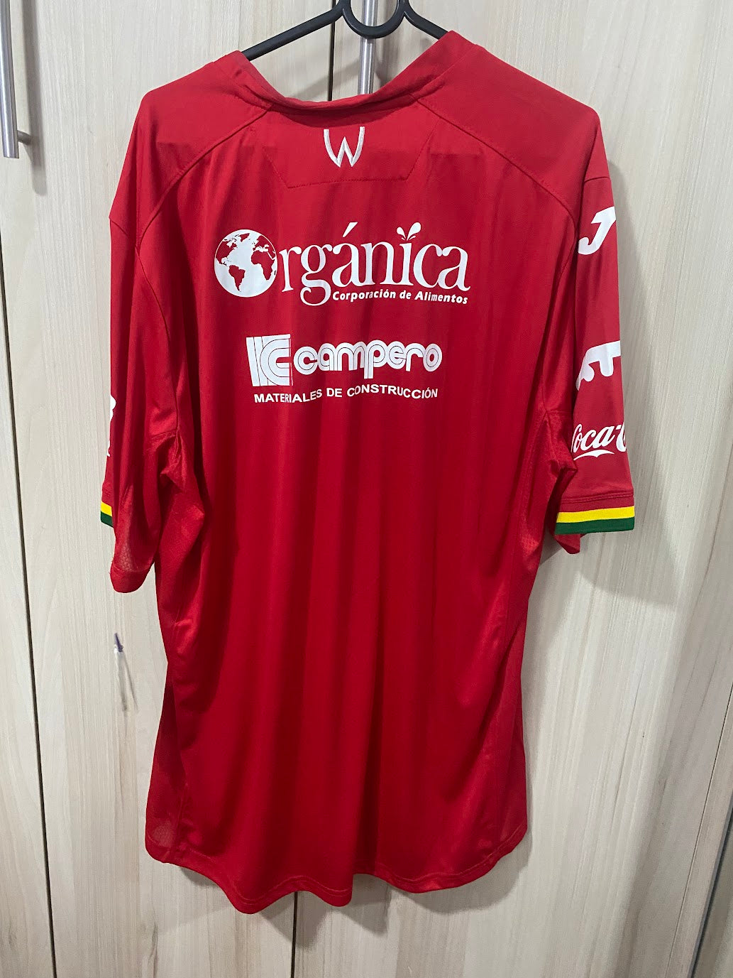 Jorge Wilstermann Home Shirt 2018 (Size XL - 58x79 cm)