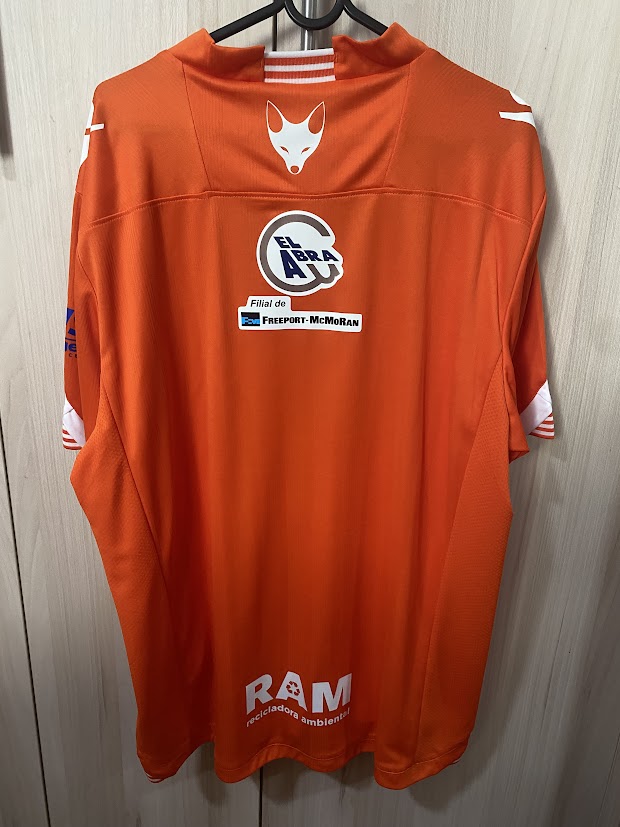 Cobreloa home 2017