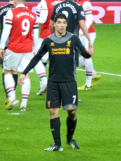 Liverpool 2013-2014 Away Shirt