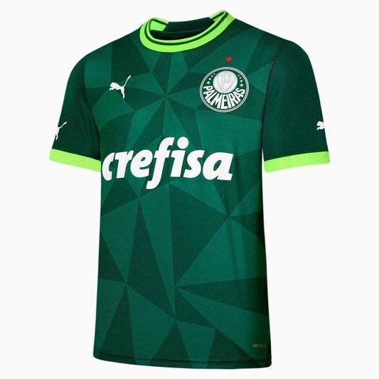 Camisa Palmeiras Puma 23 2024 home Torcedor