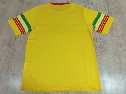 Mali National Team - Africa Cup of Nations