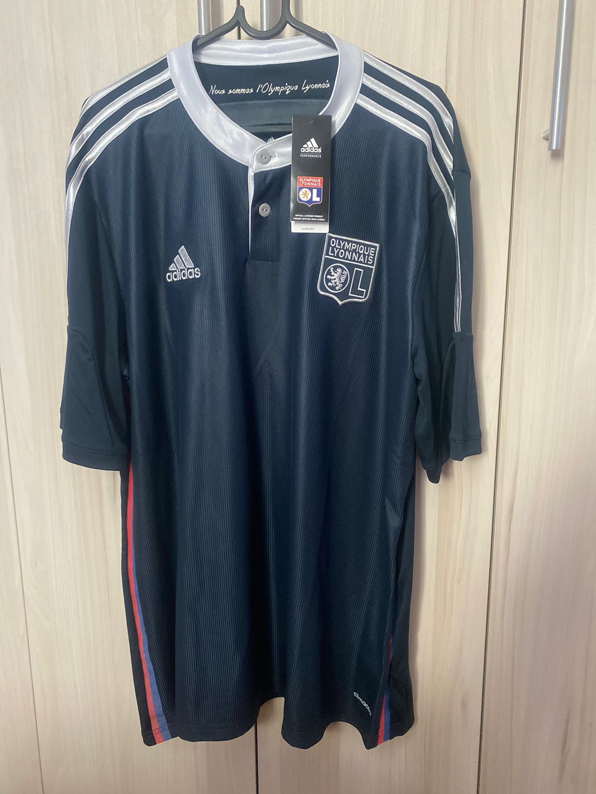 Olympique Lyon 2014